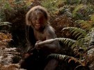 Neanderthal story