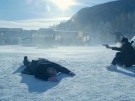 In order of disappearance