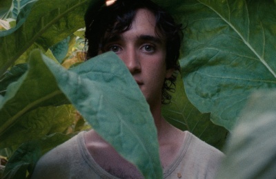 Happy As Lazzaro
