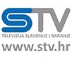 Slavonska televizija